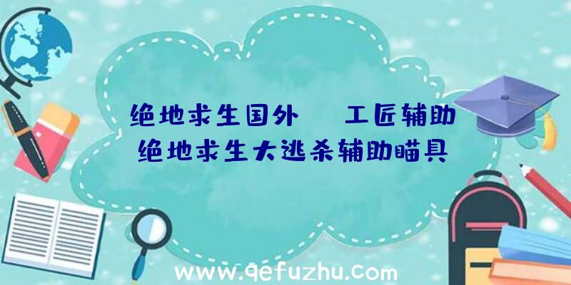 「绝地求生国外ant工匠辅助」|绝地求生大逃杀辅助瞄具